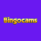 Bingocams Revisão