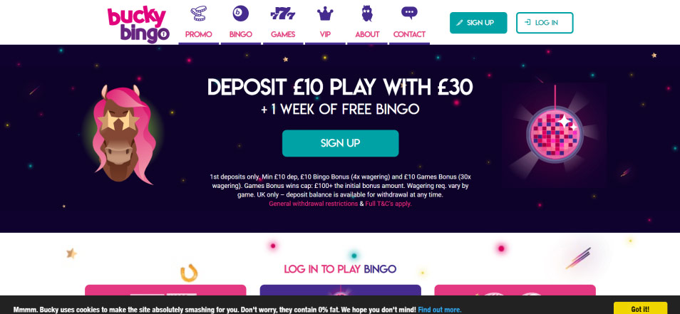 Casino en ligne Bucky Bingo Casino