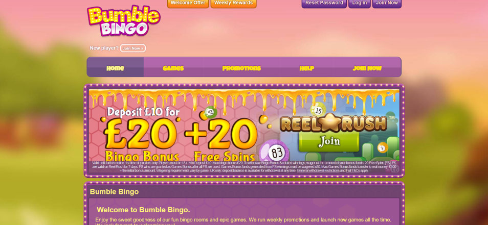 كازينو اون لاين Bumble Bingo Casino