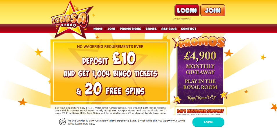 Online Casino Loadsa Bingo Casino