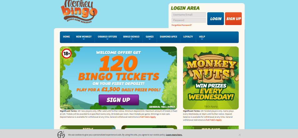 Online Casino Monkey Bingo Casino