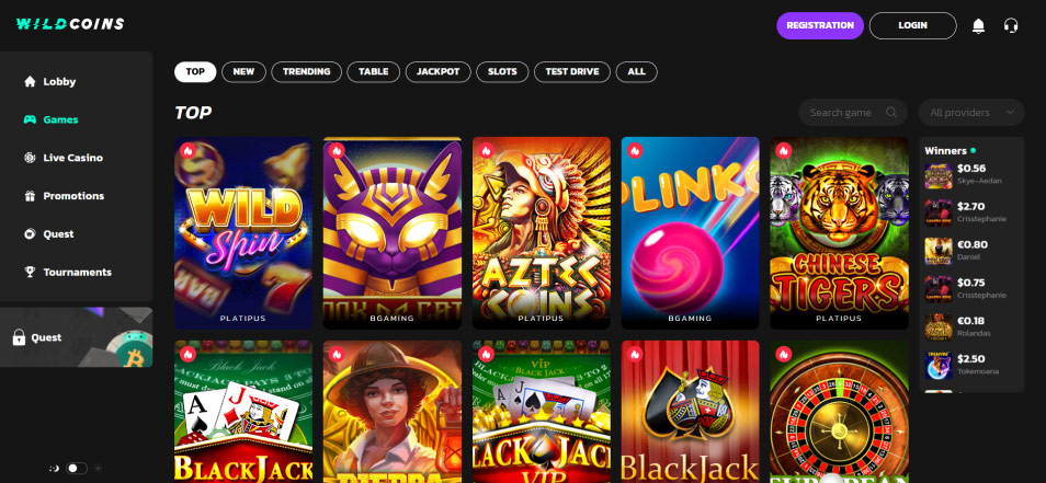 احصل على مكافأة Wild Coins Casino