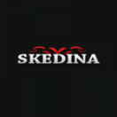 €100 Welcome Bonus at Skedina Casino