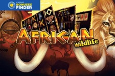 African Wildlife Platin Gaming