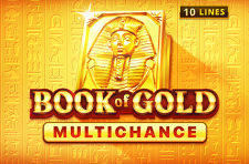 Book Of Gold: Multichance Playson