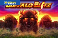 Buffalo Blitz