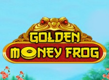 Golden Money Frog