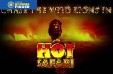 Hot Safari