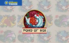 Pond Of Koi