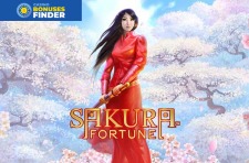 Sakura Fortune