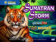 Sumatran Storm