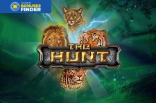 The Hunt Cozy Games