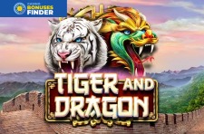 Tiger and Dragon