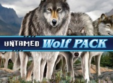 Untamed Wolf Pack