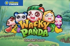 Wacky Panda Microgaming