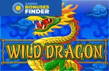 Wild Dragon