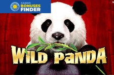 Wild Panda Aristocrat