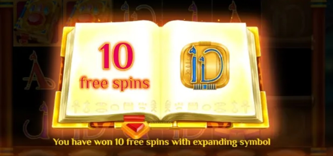 Duża wygrana na automacie Book Of Cats