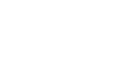Fastspin